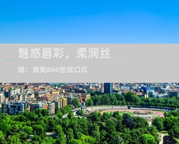 魅惑唇彩，柔润丝绒：迪奥860丝绒口红
