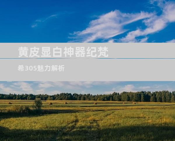 黄皮显白神器纪梵希305魅力解析